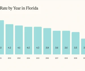 Divorce Trends in Florida